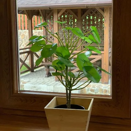 Lejlighedshotel Totem Skhidnytsia